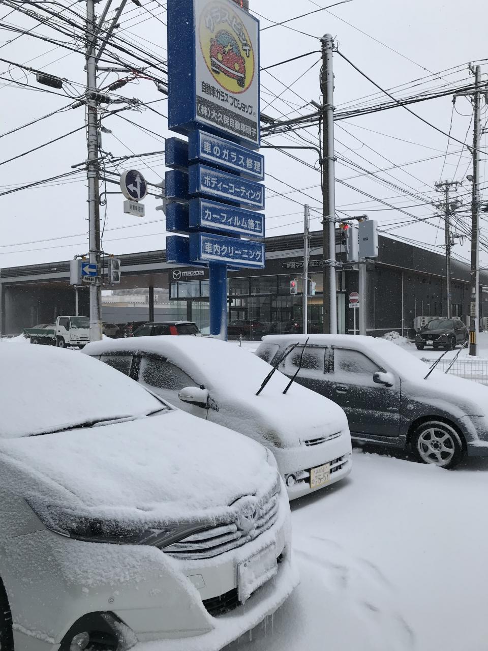 吹雪だよ スタッフブログ 株式会社大久保自動車硝子